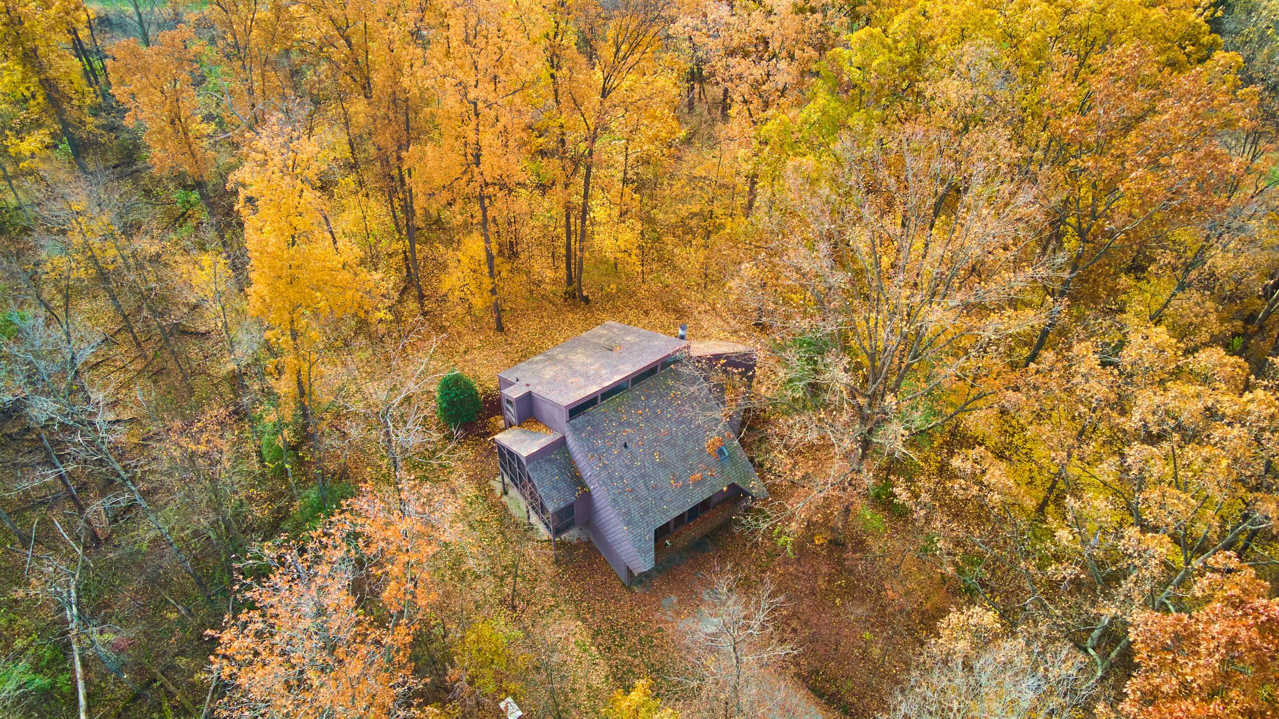 Image of Aerial of home in the fall forest